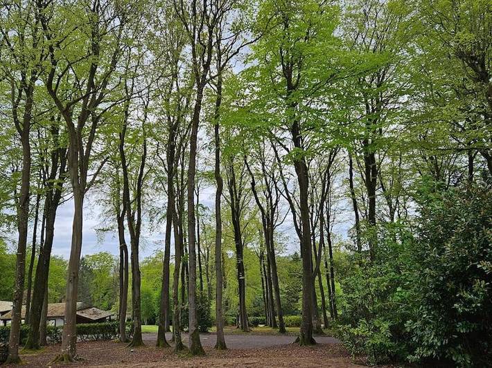 Location de vacances pour 8 personnes, avec jardin ainsi que piscine et vue à Saint-Gatien-des-Bois - 2