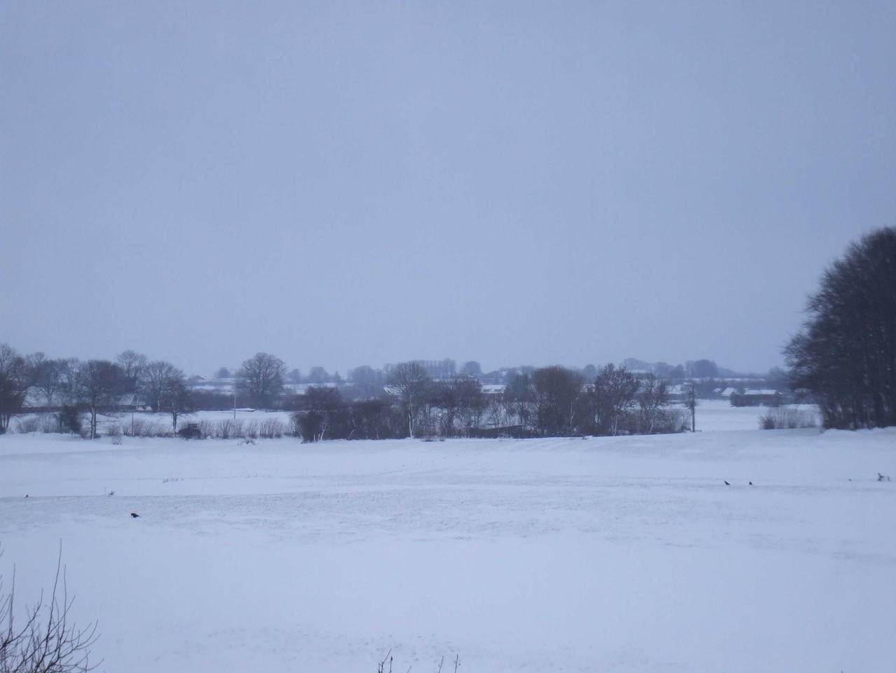 Ganze Ferienwohnung, Urlaub auf dem familienfreundlichen Bauernhof Truelsen - Ferienhof Truelsen - Fewo Gertrud in Wagersrott, Schleswig-Flensburg