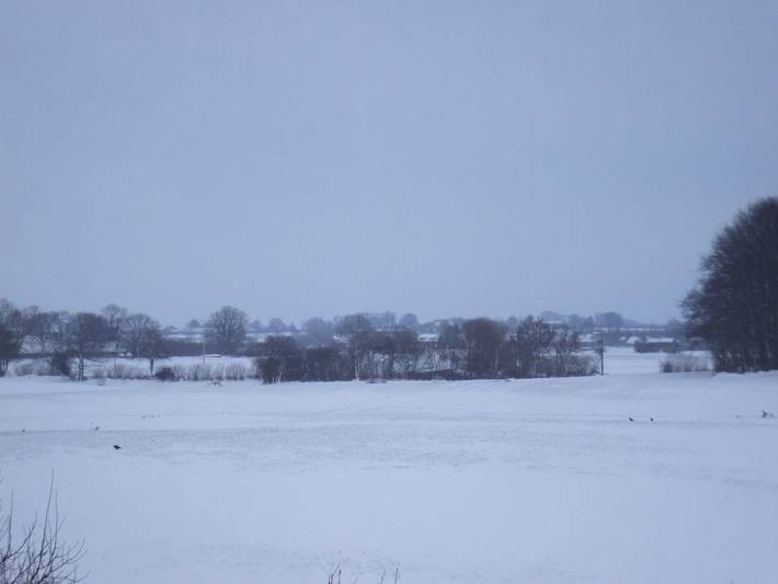 Bauernhof für 6 Personen, mit Garten und Terrasse, mit Haustier an der Ostsee - 4
