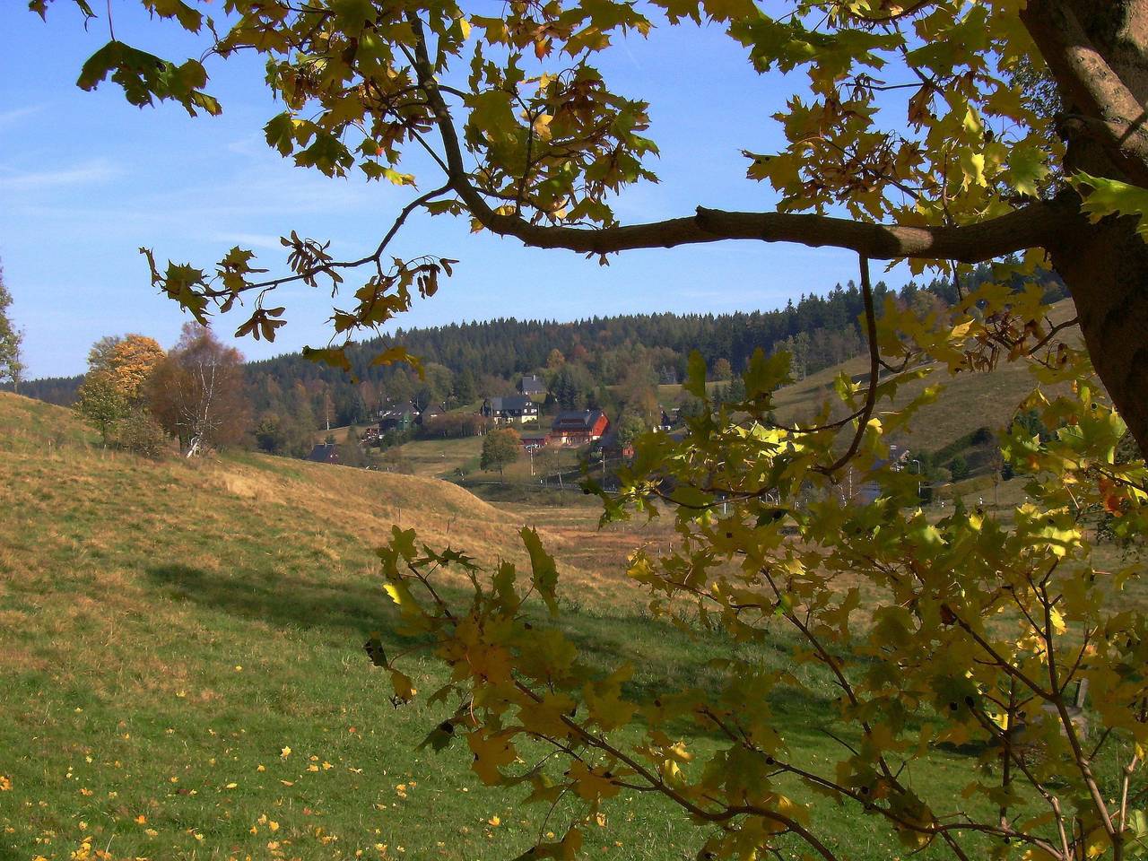 Ganze Ferienwohnung, Pension am Steinberg in Altenberg, Mittlere Erzgebirge