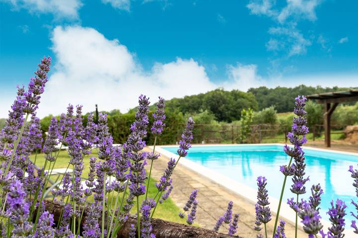 Villa pour 12 personnes, avec jardin dans Val d'Orcia - 3