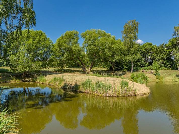 Ganze Ferienwohnung, Ferienwohnung Ottosin mit Terrasse und Garten in Dargen, Usedom