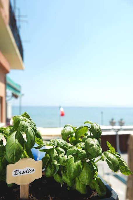 Alassio Vayadu' Arabesque in Alassio, Riviera di Ponente