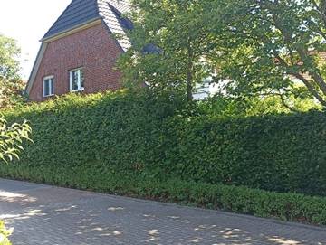 Ferienwohnung für 4 Personen in Dangast, Varel, Bild 1