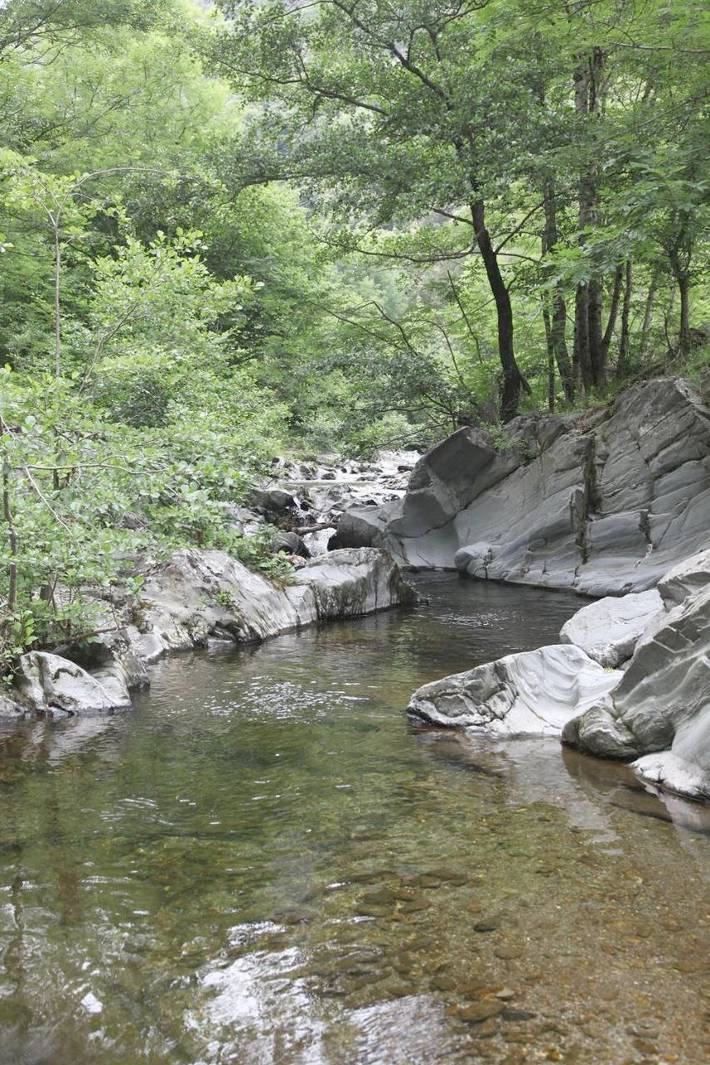 Location de vacances pour 6 personnes, avec terrasse et jardin à Les Plantiers - 4