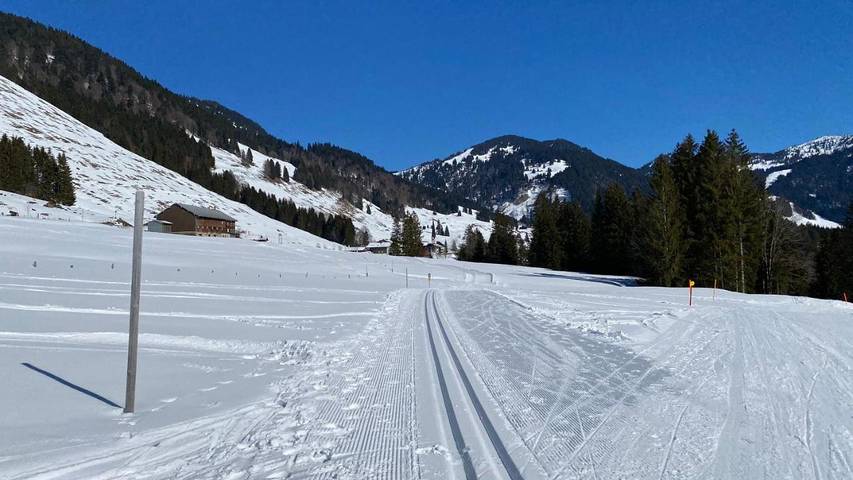 Gîte pour 4 personnes, avec vue ainsi que sauna et balcon à Balderschwang - 3