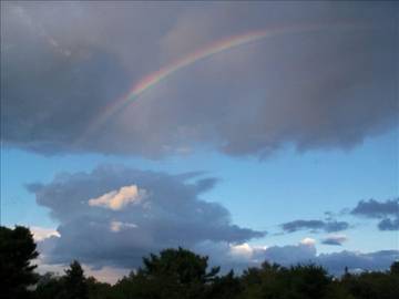 Cottage for 4 Guests in Maine, USA, Picture 4