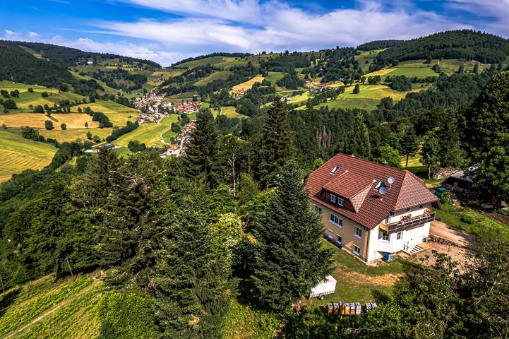 Ferienwohnung für 4 Personen, mit Ausblick und Sauna sowie Garten in Wieden