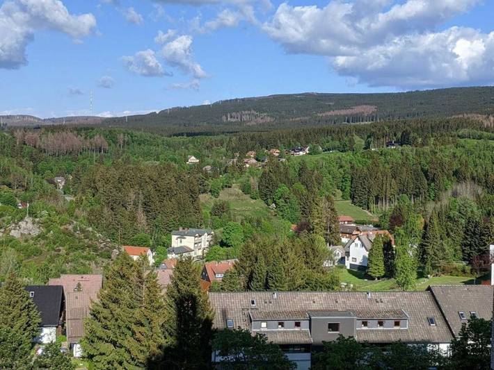 Ferienpark für 3 Personen, mit Balkon, kinderfreundlich im Harz - 4