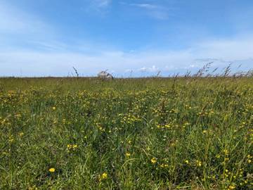 Ferieudlejning til 6 Personer i Gedesby, Lolland-Falster, Billede 2