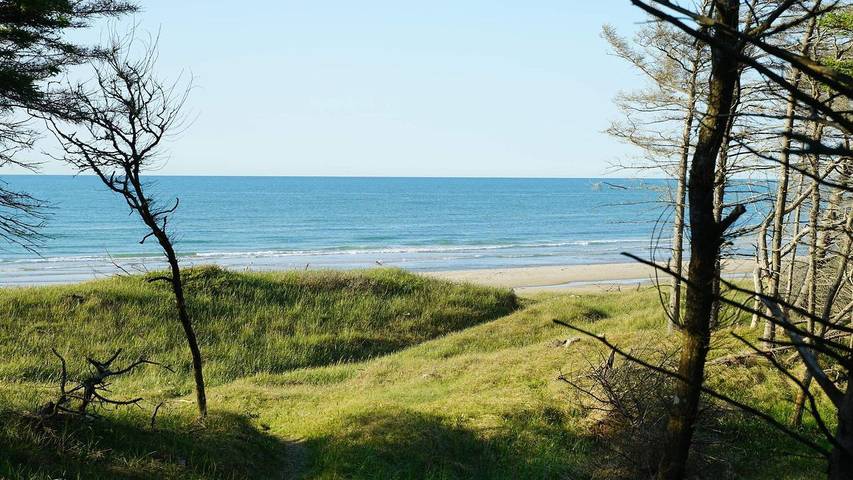 Ferienhaus für 11 Personen, mit Pool und Whirlpool sowie Sauna und Terrasse, mit Haustier in Aalbæk - 3