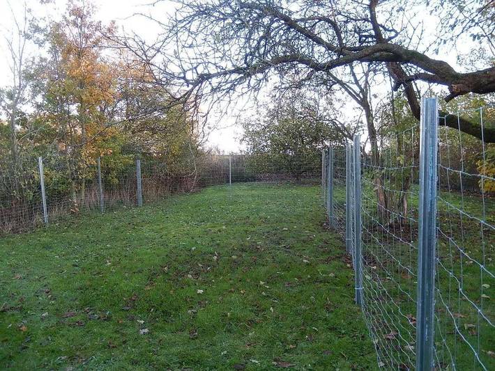 Ferienhaus für 6 Personen, mit Garten und Terrasse in Pellworm - 4