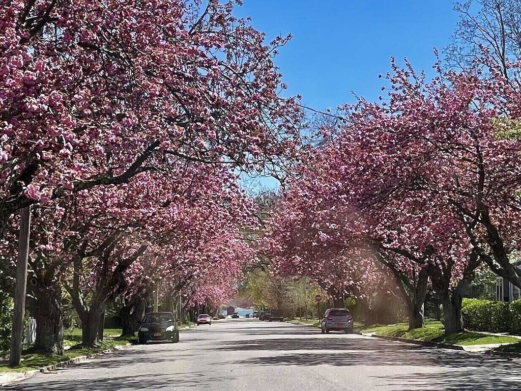 Cottage for 4 Guests in Greenport West, North Fork