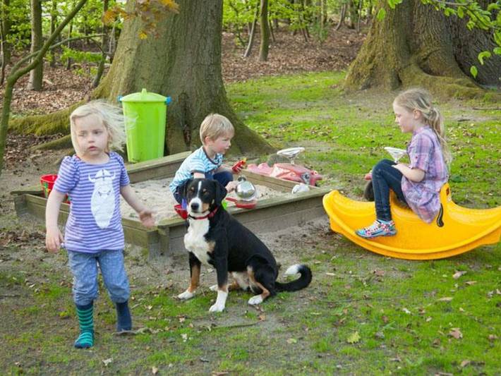 Ferienhaus für 6 Personen, mit Terrasse in Landkreis Heidekreis - 3