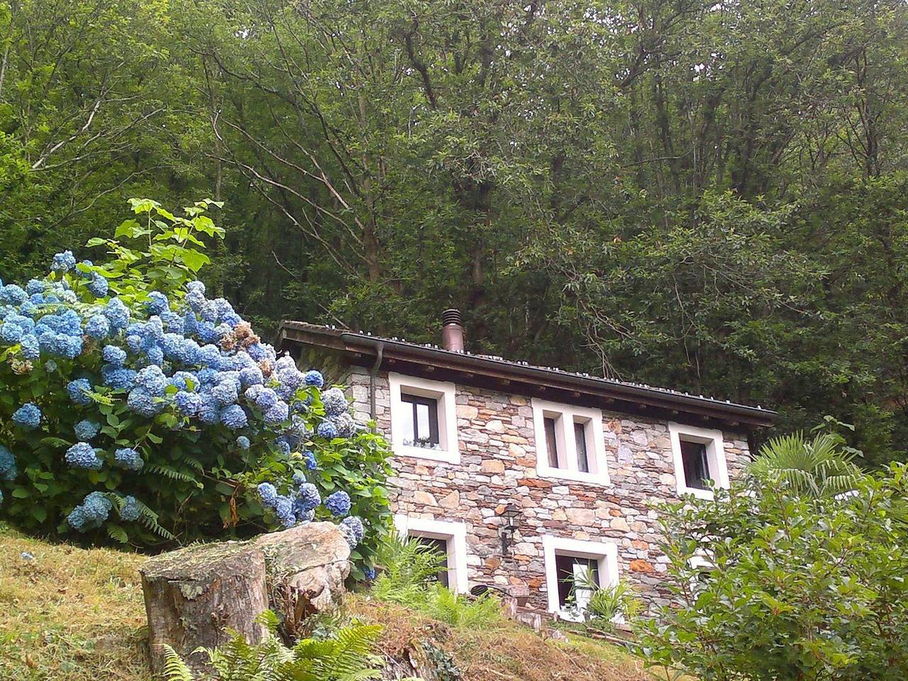 Typisches Rustico am Dorfrand idyllisch an Wald angrenzend in Brissago, Tessiner Alpen