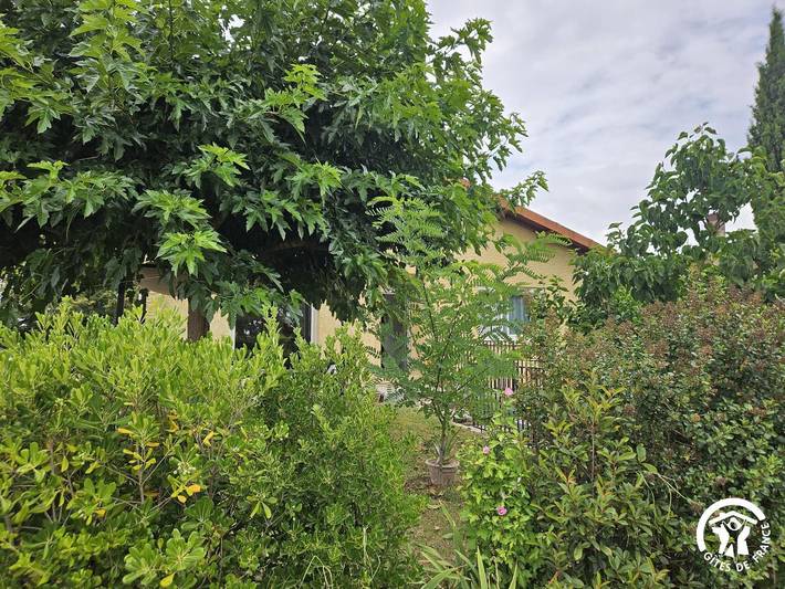 Gîte pour 6 personnes, avec jardin à Lisle-sur-Tarn - 4