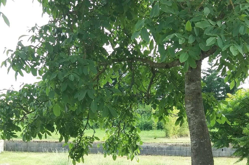 Gîte pour 3 Personnes dans Valderiès, Région d'Albi