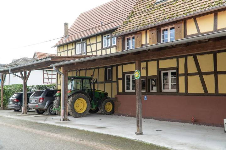 Chambre d’hôte pour 10 personnes, avec piscine ainsi que sauna et terrasse à Kurtzenhouse - 3