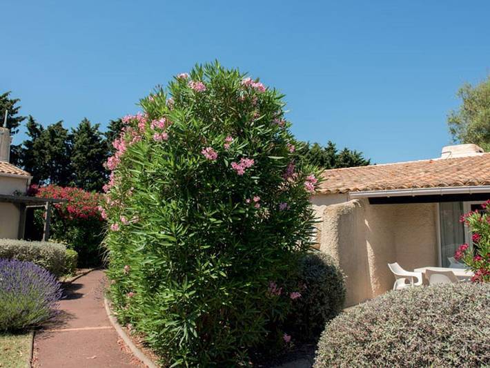 Camping für 3 Personen, mit Balkon in Agde - 2