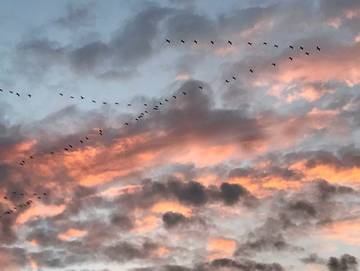 Ferienwohnung für 7 Personen in Bodstedt, Fuhlendorf, Bild 4