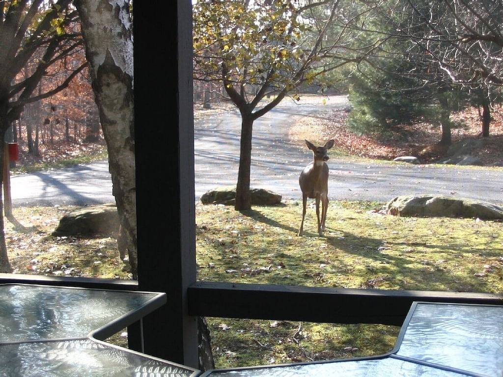 Poconos Haus w / Hot Tub; Slope bei Jack Frost, in der Nähe Wandern, Fischen in Blakeslee, Carbon County (PA)