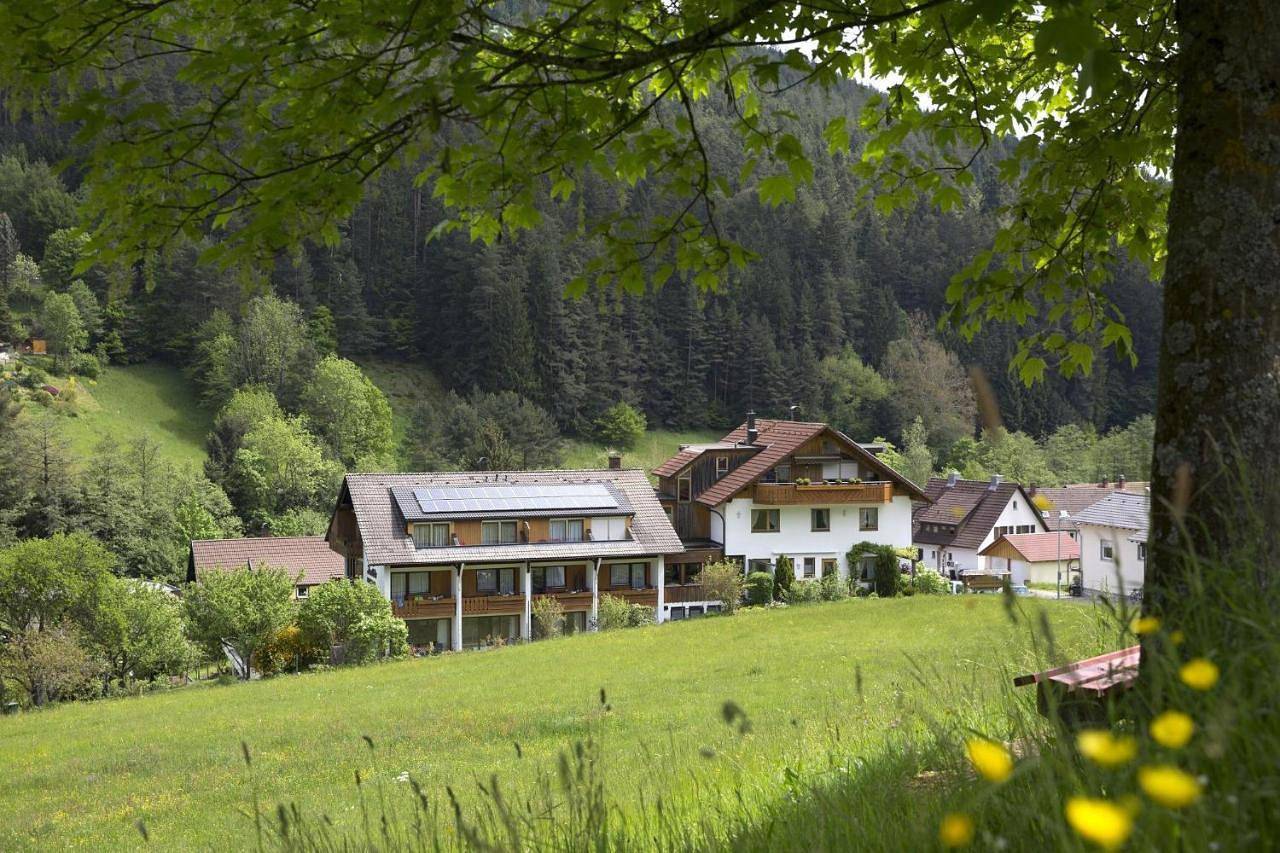 Ganze Wohnung, Isoldes Landhaus in Tonbach, Baiersbronn