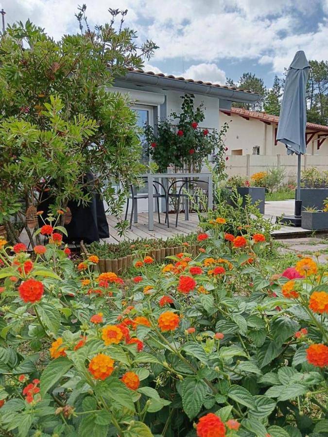 Location de vacances pour 2 personnes, avec jardin ainsi que piscine et terrasse à Magescq - 2