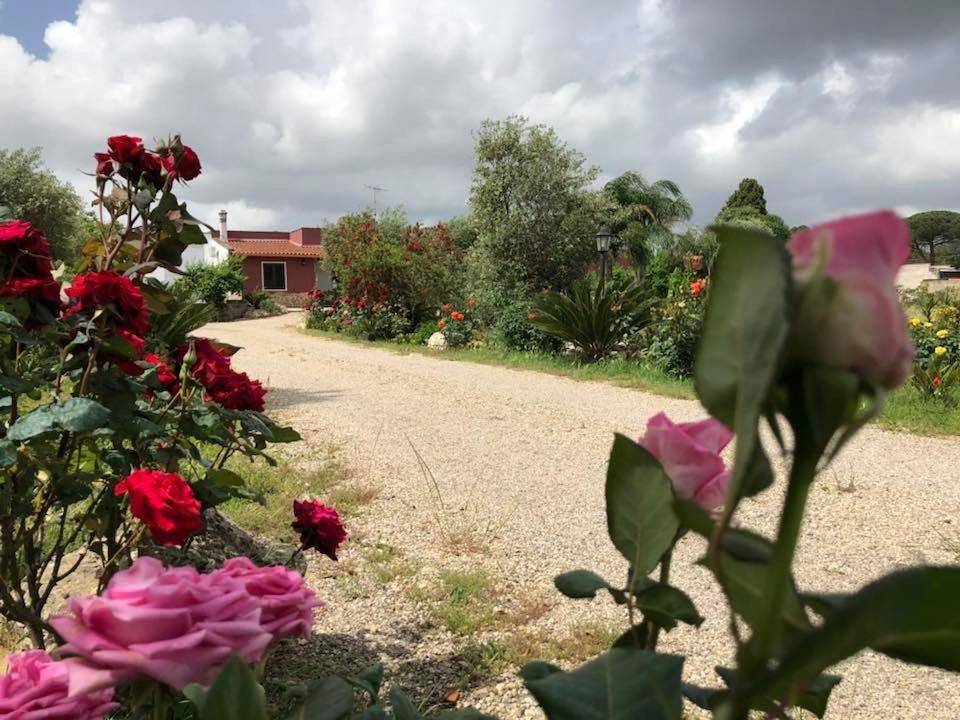 Curti Russi in Monteroni di Lecce, Provincia di Lecce