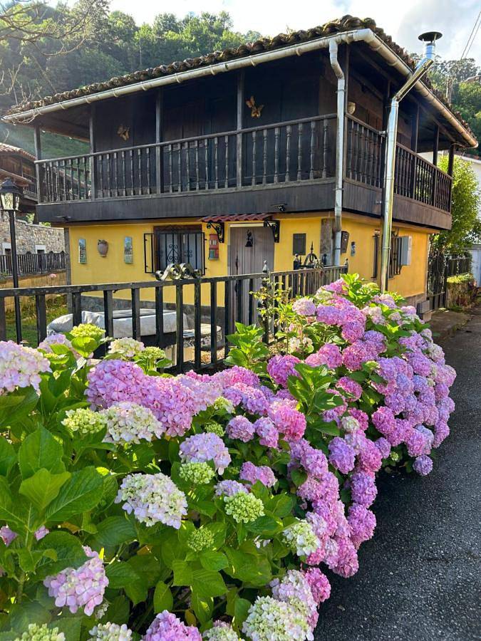 Casa rural para 5 personas, con vistas y jardín, Se admiten mascotas en Belmonte de Miranda - 2