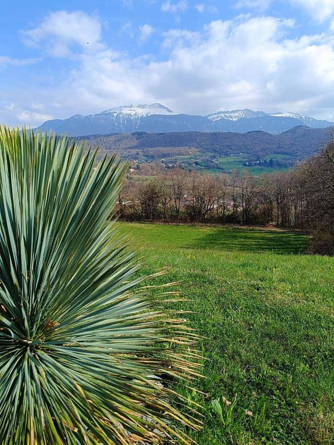 Gîte pour 2 personnes, avec jacuzzi et jardin à Coublevie - 2