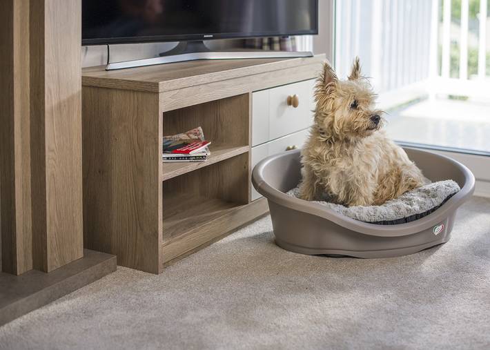 Camping für 6 Personen in Cornwall