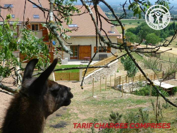 Studio pour 2 personnes, avec Jacuzzi et Terrasse ainsi que Jardin et Sauna