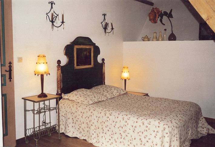 Gîte pour 10 personnes, avec terrasse à Vienne (France) - 3