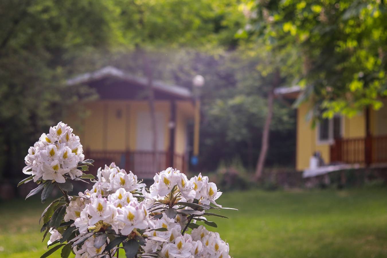 Bungalows Kamena im Dorf Kamena in Oblast Blagoevgrad