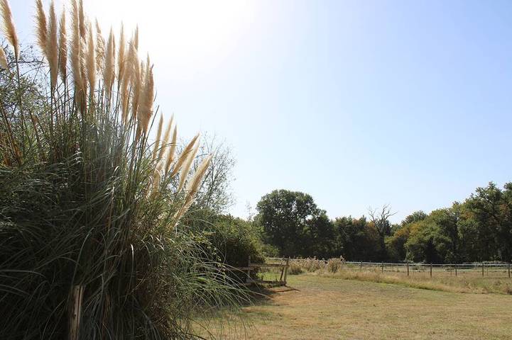 Gîtes au Château de Servanches, Dordogne, 20 personnes, piscine & nature in Servanches, Périgord Vert