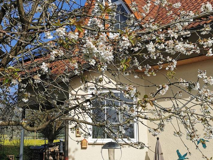 Ferienwohnung für 2 Personen, mit Balkon in Edertal