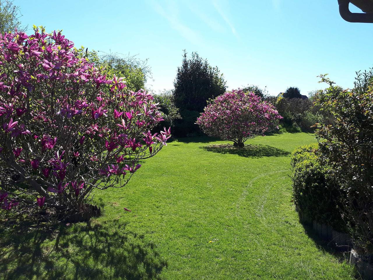 Ganze Ferienwohnung, Ferienwohnung Fuge in Kappeln an der Schlei in Kappeln, Kappeln & Umgebung