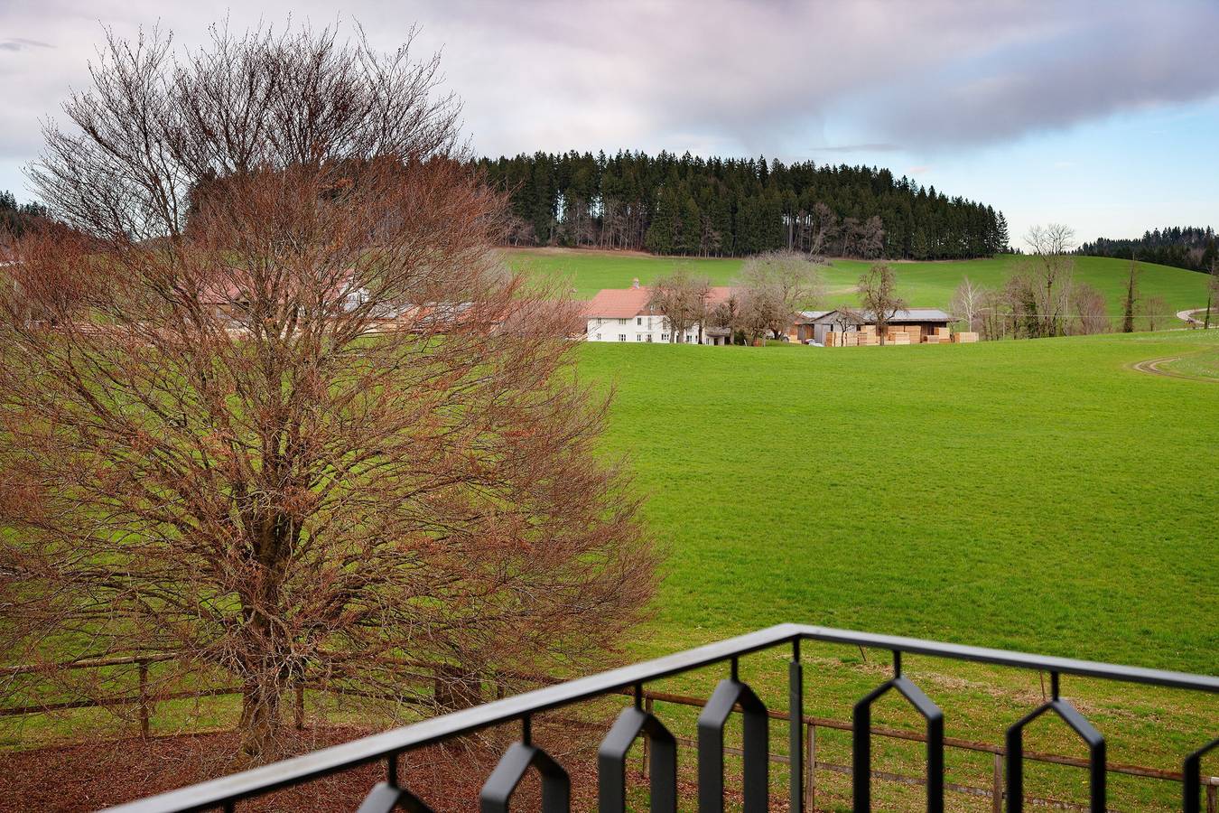 Ganze Wohnung, Appartement mit Balkon und Wlan in Wangen im Allgäu, Region Bodensee-Oberschwaben