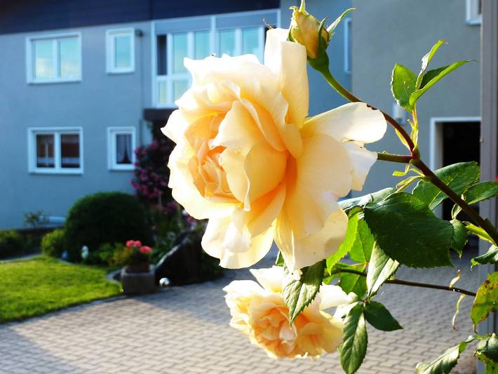Bauernhof für 3 Personen, mit Garten und Terrasse in Franken - 4