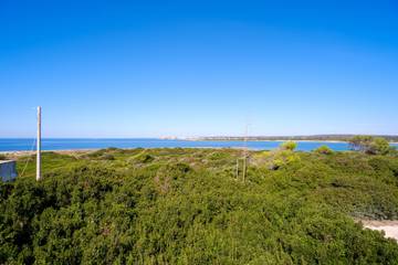 Villa for 8 Guests in Punta Prosciutto, Salento, Picture 1