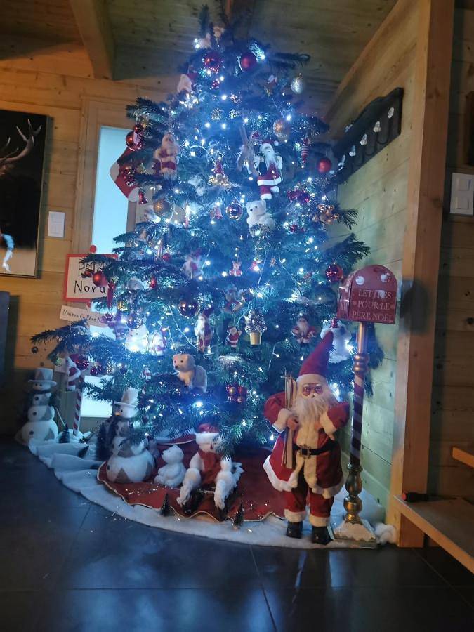 Chalet pour 12 personnes, avec jardin ainsi que sauna et vue à Xonrupt-Longemer - 2