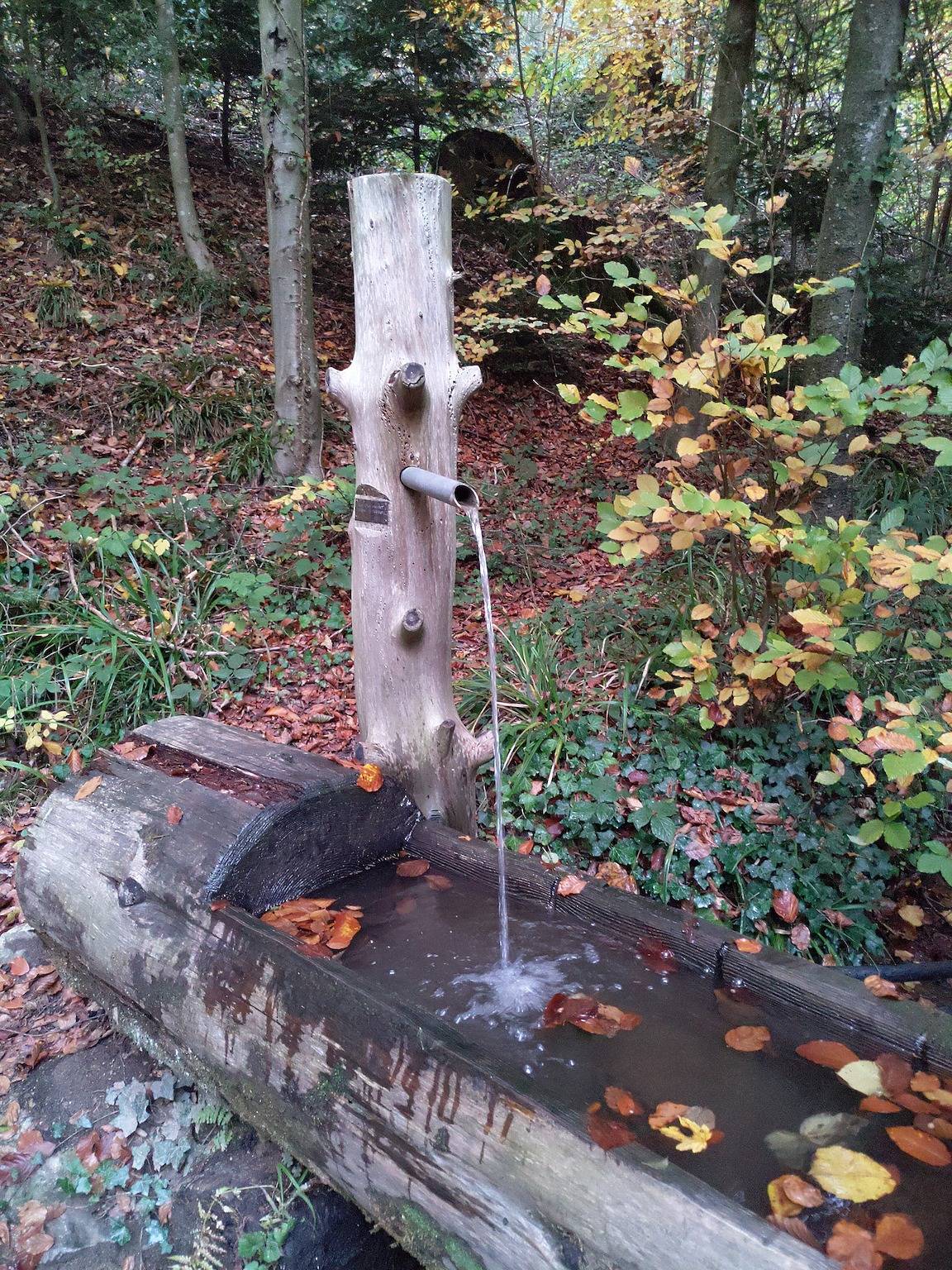 Vakantiewoning aan de Sulzbach, foto 11