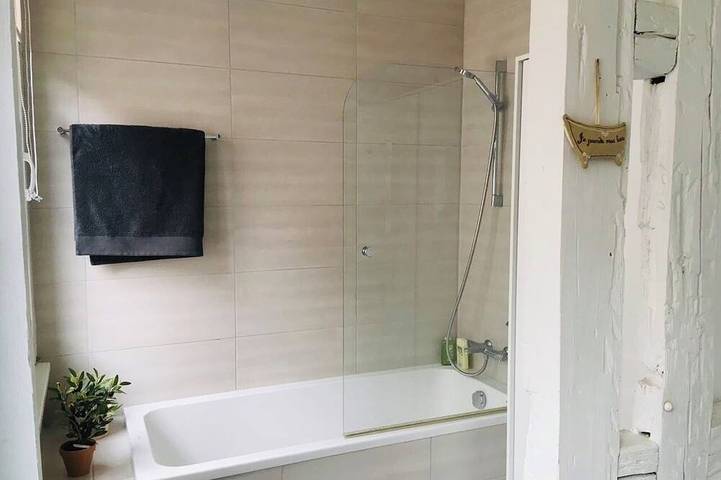 Entire apartment, Strasbourg mon amour in Strasbourg, Strasbourg region