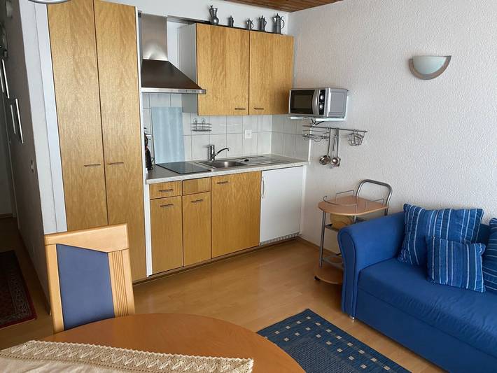 Ganze Wohnung, Dixence 208 - Wohnung 2.0 Zimmer in Thyon-Les Collons, Vex