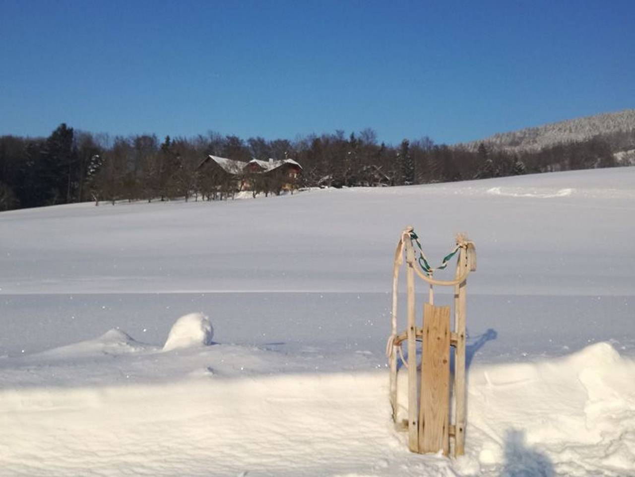 Bio Bauernhof Mondsee Schafleitner-Kroiß - Dachsteinblick in Salzkammergut-Berge, Mondsee & Irrsee