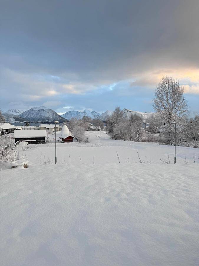 Ferienhaus für 4 Personen, mit Terrasse und Garten sowie Ausblick in Vesterålen - 3