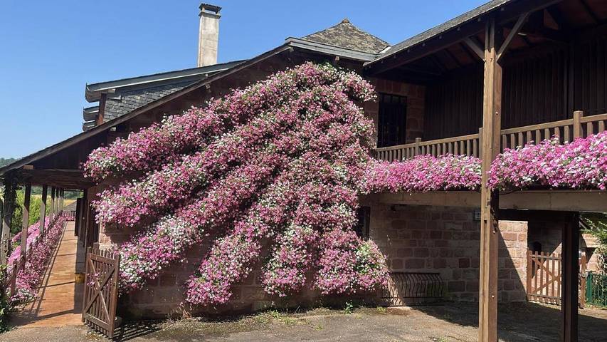Hôtel pour 2 personnes, avec vue ainsi que piscine et jardin, animaux acceptés à Varetz - 4