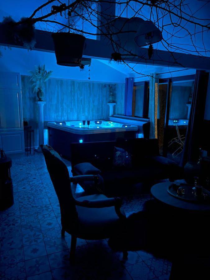 Location de vacances pour 6 personnes, avec jardin et jacuzzi, adapté aux familles à Grand-Laviers - 4