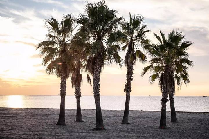 Camping für 4 Personen, mit Terrasse und Pool in Katalonien - 3