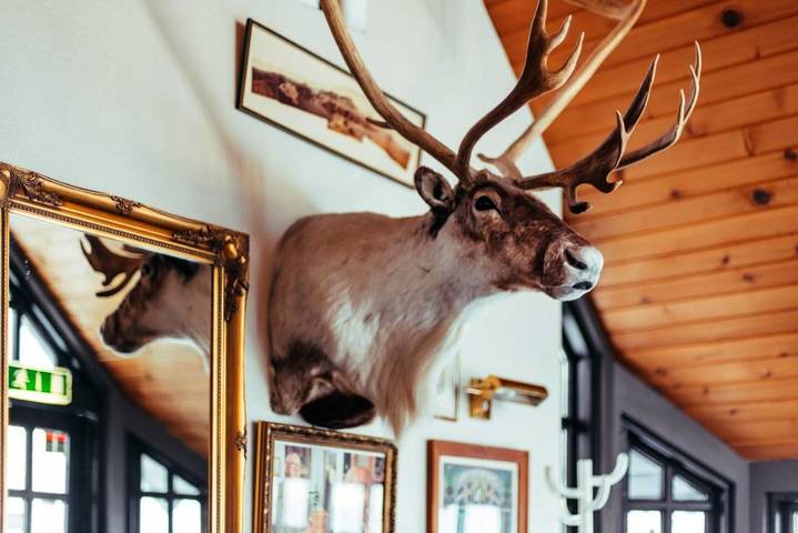 Hôtel pour 2 personnes, avec jacuzzi et jardin à Mosfellsbær - 2